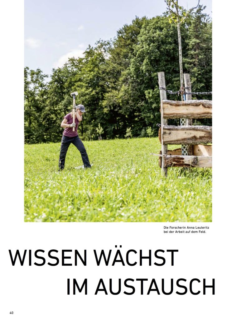 Globe2503_Nachhaltig-Bauen1