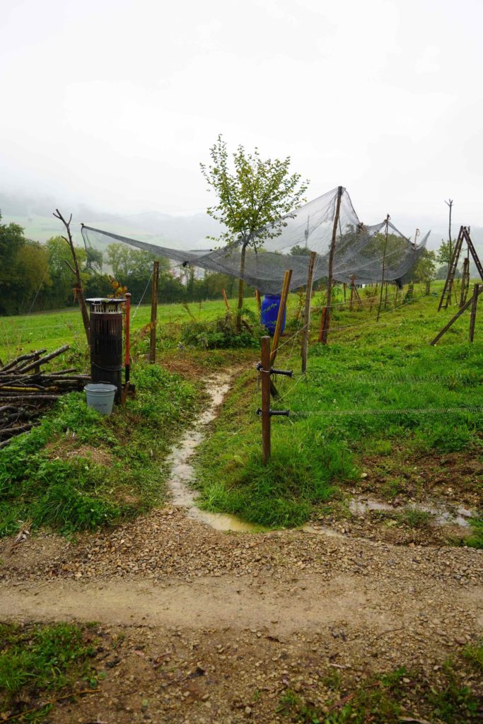 Foto: "Hazelburger Agroforst mit Keyline Wassermanagement und CommuniTree Erntesystem", Stefan Breit, Chair of BEING ALIVE, ETH Zürich